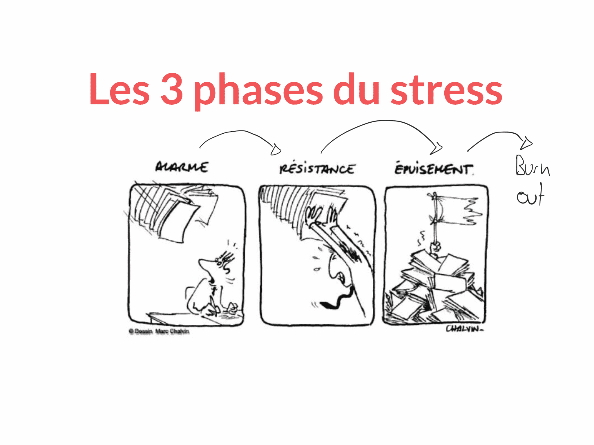 Les 3 phases du stress
