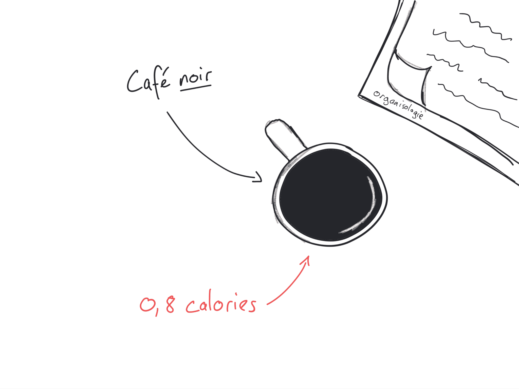 Que contient le café?